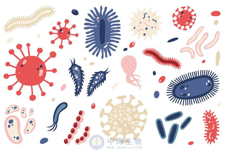 微生物是什么？哪些营养物质促进微生物生长繁殖？