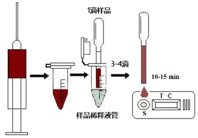 非洲猪瘟快速检测卡使用操作