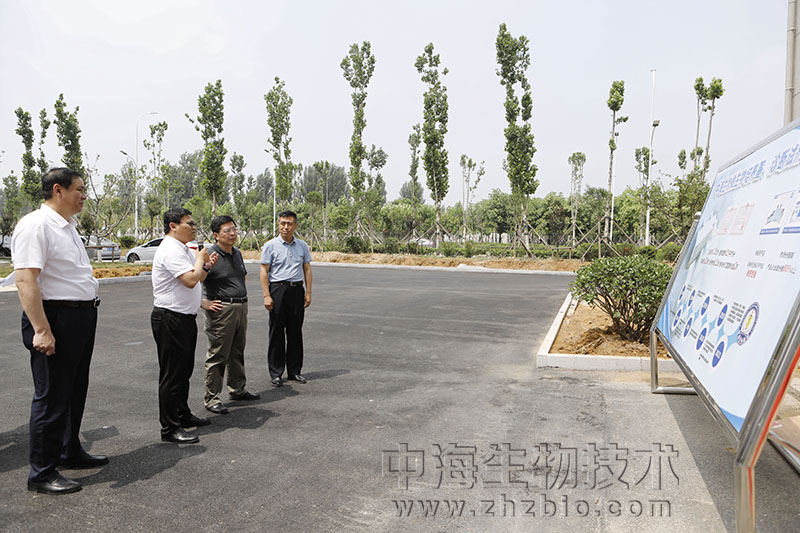 枣庄市委书记陈平调研中国兽药谷及中海生物等重点项目建设情况图片
