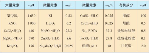 MS固体培养基成分配方