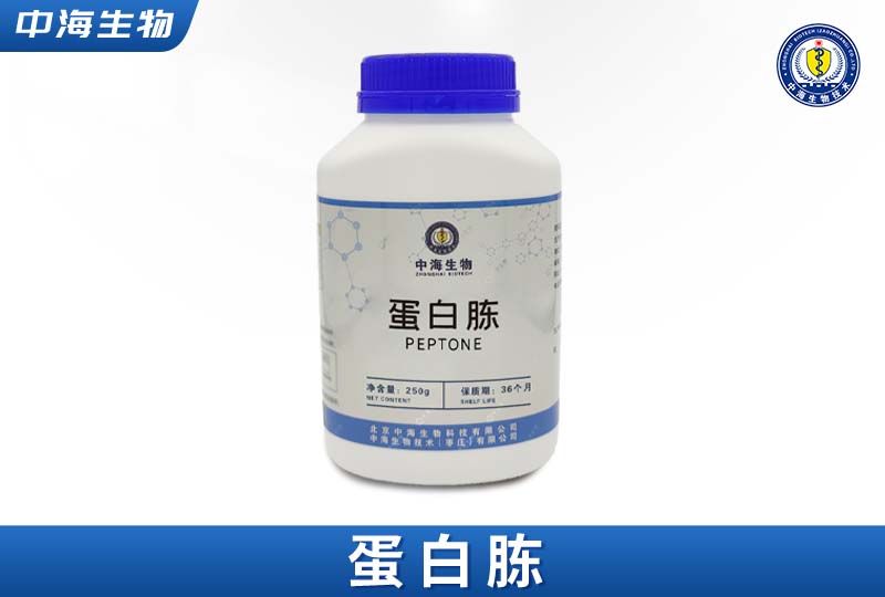 蛋白胨